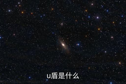 對(duì)外支付是什么，u盾是什么