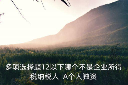 什么納稅人，多項選擇題12以下哪個不是企業(yè)所得稅納稅人  A個人獨資