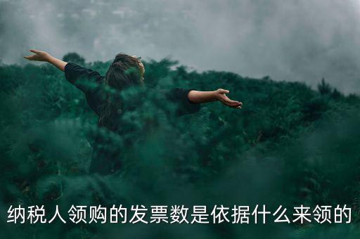 為什么領(lǐng)票人是納稅人，發(fā)票領(lǐng)購簿上的章子與納稅人名稱不一樣是怎么回事