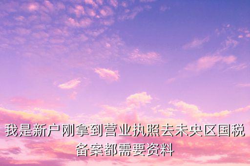 我是新戶(hù)剛拿到營(yíng)業(yè)執(zhí)照去未央?yún)^(qū)國(guó)稅備案都需要資料