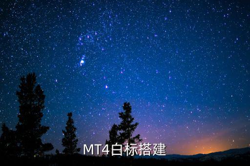 稅務系統(tǒng)為什么進行容災建設，小微企業(yè)該購買什么樣的服務器涉及生產(chǎn)倉儲銷售和財務等  搜