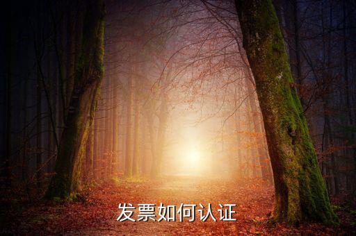 發(fā)票通過什么認證，關于發(fā)票認證哪些發(fā)票需要認證