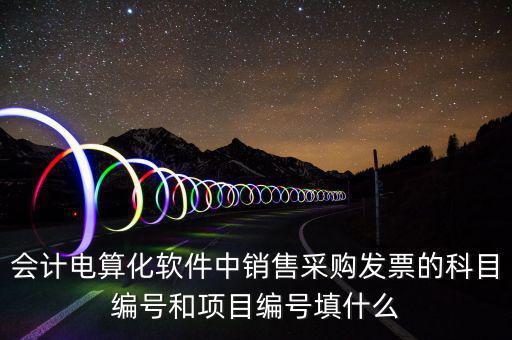 會計(jì)電算化軟件中銷售采購發(fā)票的科目編號和項(xiàng)目編號填什么