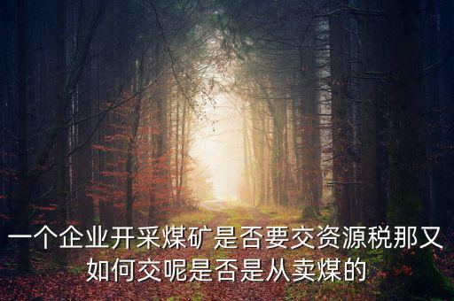 煤在什么環(huán)節(jié)征資源稅，煤礦資源稅稅率