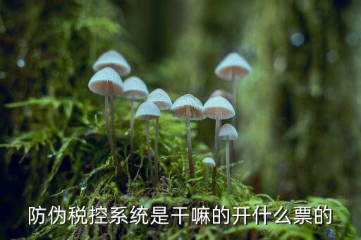 什么是稅控系統(tǒng)數(shù)據(jù)，金稅盤是什么