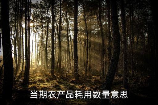 當期農產品耗用數(shù)量意思