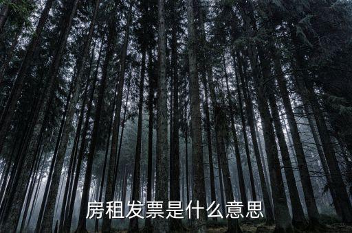 租賃協(xié)議和租金發(fā)票是什么意思，新辦企業(yè)地稅要租房協(xié)議開發(fā)票請問這是開什么發(fā)票啊