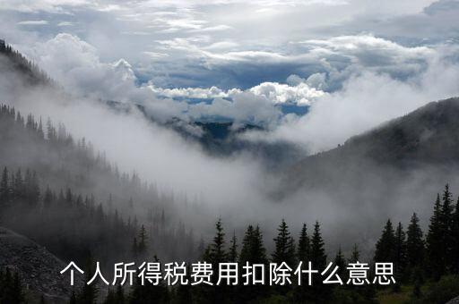 稅收扣除是什么，個人所得稅費用扣除什么意思