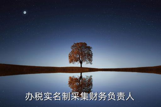 什么是實(shí)名辦稅，辦稅實(shí)名制采集財(cái)務(wù)負(fù)責(zé)人