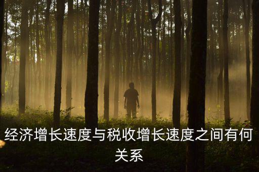 稅收增速是什么，經(jīng)濟(jì)增長(zhǎng)速度與稅收增長(zhǎng)速度之間有何關(guān)系