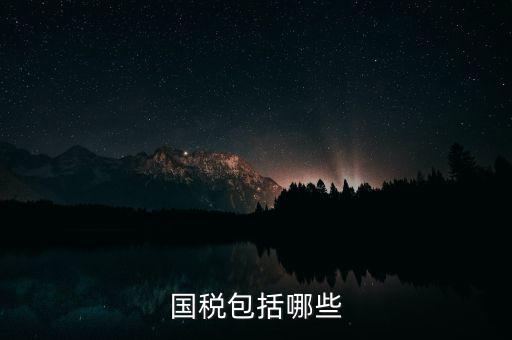國(guó)稅綜合業(yè)務(wù)指什么，國(guó)稅包括哪些