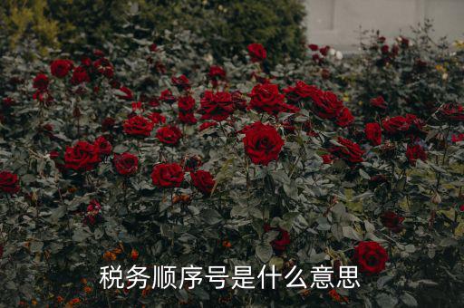 成都稅務(wù)號是什么意思，四川省國稅編號開頭幾位數(shù)是什么