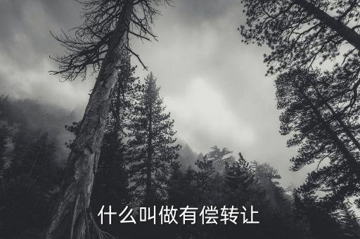 有償轉(zhuǎn)移安置什么意思，有償轉(zhuǎn)發(fā)什么意思