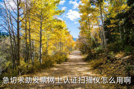 CA登陸可以開什么票，京東上什么可以開增值稅專用發(fā)票