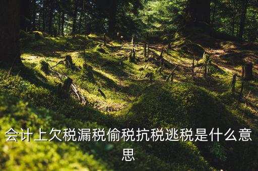 欠繳稅額是什么意思，增值稅申報(bào)表第26欄實(shí)收出口開(kāi)具專用繳款書(shū)退稅額指的是什么