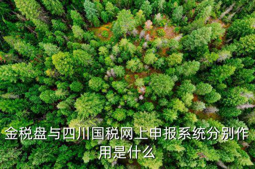 金稅盤的作用是什么，請問現(xiàn)在國稅局換的金稅盤主要的作用是什么