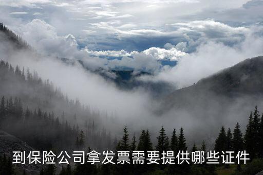 保險開專票需要什么資料，中國人壽保險打發(fā)票要什么手續(xù)