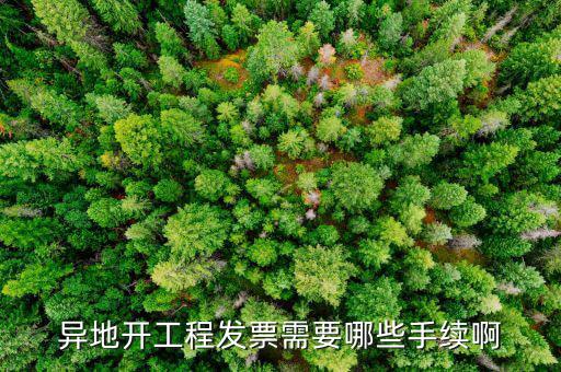 外地項(xiàng)目開票需要什么手續(xù)，在外地開票需要什么手續(xù)