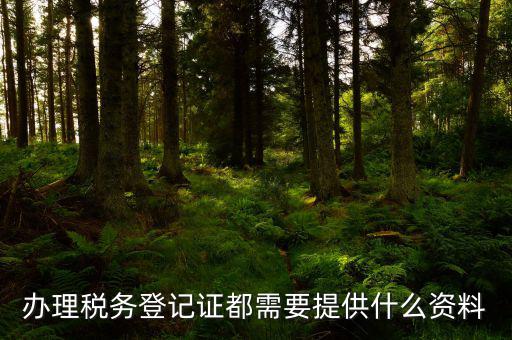 辦理稅務登記需要什么資料，辦理稅務登記證都需要提供什么資料