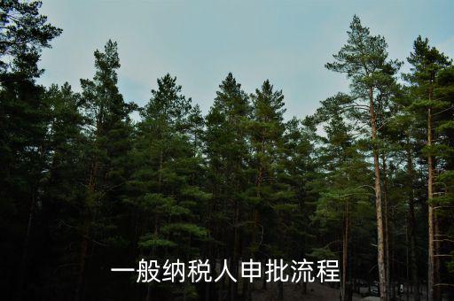 申稅需要什么手續(xù)，個體工商戶稅收 要辦理什么手續(xù)