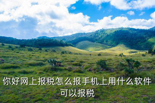 國稅保稅需要下載什么，你好網(wǎng)上報稅怎么報手機上用什么軟件可以報稅