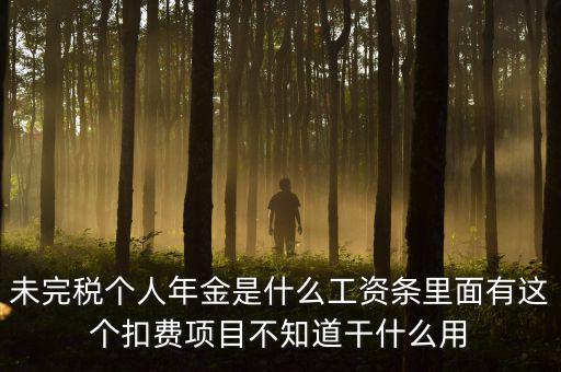 個(gè)稅年金是什么，未完稅個(gè)人年金是什么工資條里面有這個(gè)扣費(fèi)項(xiàng)目不知道干什么用