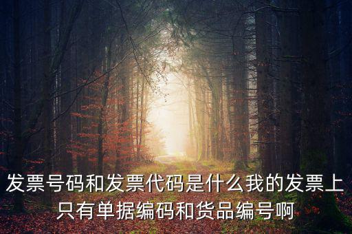 發(fā)票代碼指什么地方，增值稅普通發(fā)票的12位發(fā)票代碼在什么位置