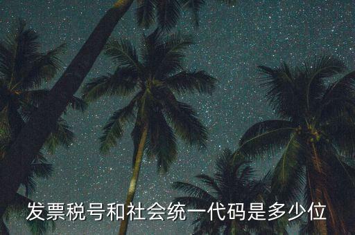 發(fā)票統(tǒng)一社會信用代碼是什么，現(xiàn)在開發(fā)票要的社會信用代碼是誰的代碼