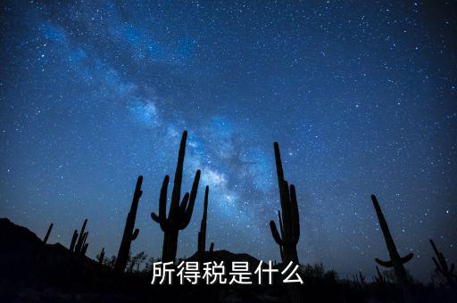 什么是額外所得稅，所得稅是什么