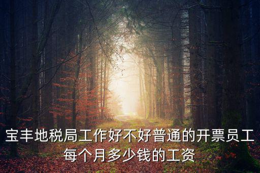 寶豐國(guó)稅局局長(zhǎng)叫什么，寶豐三分局移動(dòng)營(yíng)業(yè)廳地址在哪里
