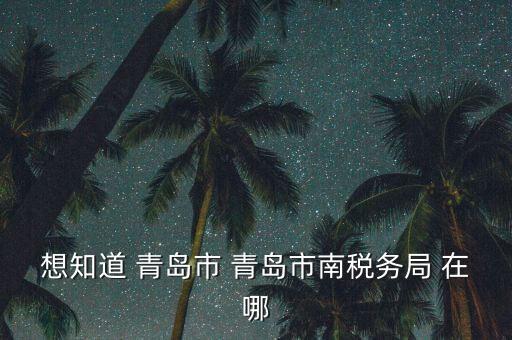 青島稅務局在什么地方，青島國稅局在什么位置在什么路上