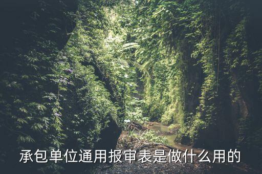 通用申報是什么意思，申報是什么意思