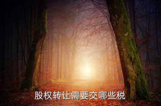 股權轉(zhuǎn)讓需要繳納什么稅，股權轉(zhuǎn)讓要交什么稅