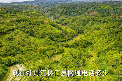 林口縣稅務(wù)局電話號碼是什么，現(xiàn)在牡丹江林口縣網(wǎng)通電話多少