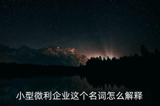 微利成公司是什么意思，小型微利企業(yè)這個名詞怎么解釋