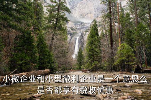 小型微利企業(yè)是什么，小微企業(yè)和小型微利企業(yè)是一個意思么是否都享有稅收優(yōu)惠