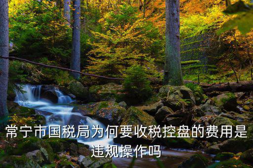 為什么要使用稅控盤(pán)，常寧市國(guó)稅局為何要收稅控盤(pán)的費(fèi)用是違規(guī)操作嗎