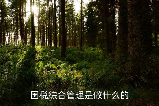 國稅綜合業(yè)務是什么，國稅綜合管理是做什么的