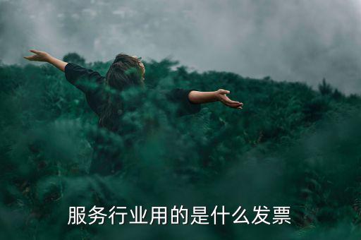 服務(wù)業(yè)發(fā)票是什么發(fā)票，服務(wù)發(fā)票是不是普通發(fā)票的一種