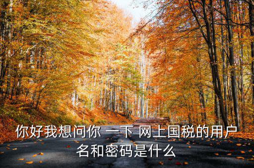 你好我想問你 一下 網(wǎng)上國(guó)稅的用戶名和密碼是什么