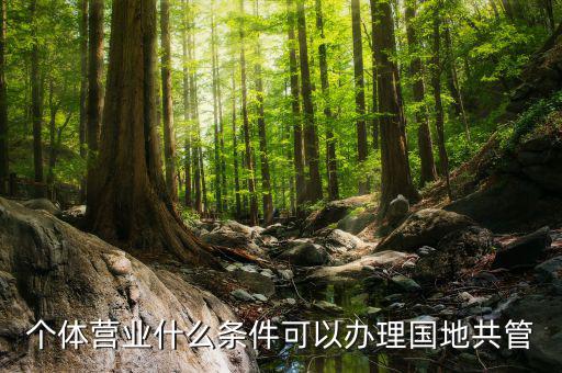 國地管戶類型是什么，國稅地稅共管戶