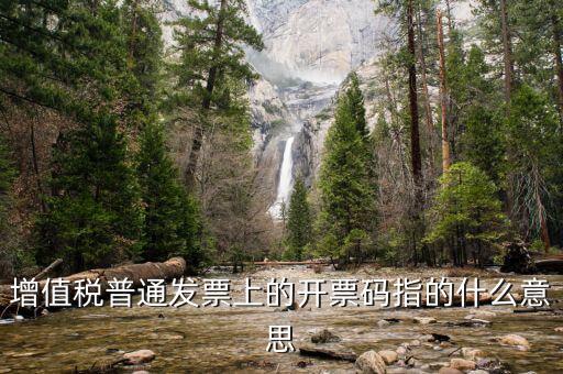 增值票的開票碼是什么意思，增值稅普通發(fā)票上的開票碼指的什么意思