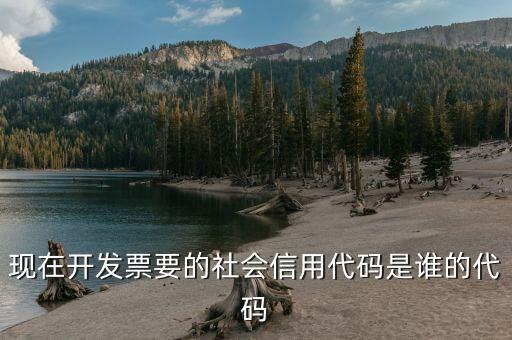 發(fā)票上有社會信用代碼是什么，現(xiàn)在開發(fā)票要的社會信用代碼是誰的代碼