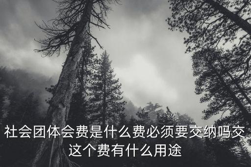 社會團體費是什么，誰知道工商個體協(xié)會社會團體會員費是什么