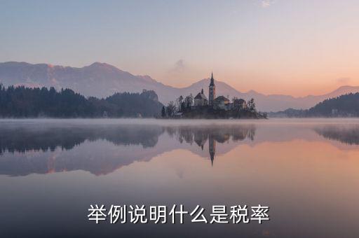 稅率說(shuō)明是什么意思，稅率是什么意思