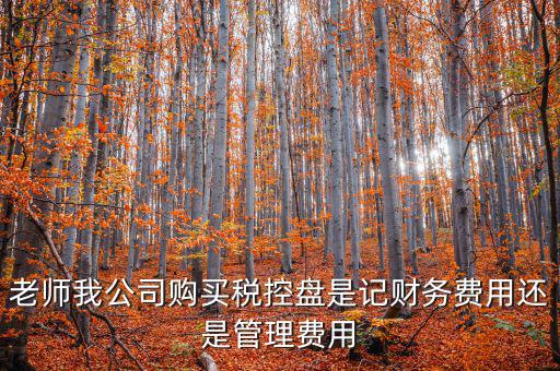 老師我公司購(gòu)買(mǎi)稅控盤(pán)是記財(cái)務(wù)費(fèi)用還是管理費(fèi)用