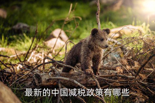 各國(guó)減稅結(jié)果會(huì)是什么，最新的中國(guó)減稅政策有哪些