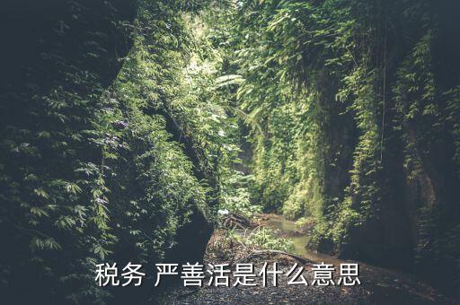 中國(guó)稅務(wù)精神是什么意思，稅務(wù)是什么意思啊學(xué)什么內(nèi)容
