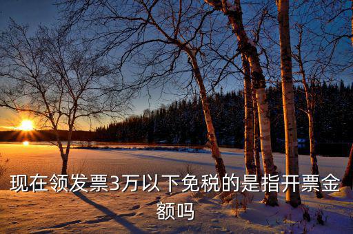 3萬(wàn)免稅免的是什么稅，小規(guī)模納稅人月收入3萬(wàn)元以下免哪些稅