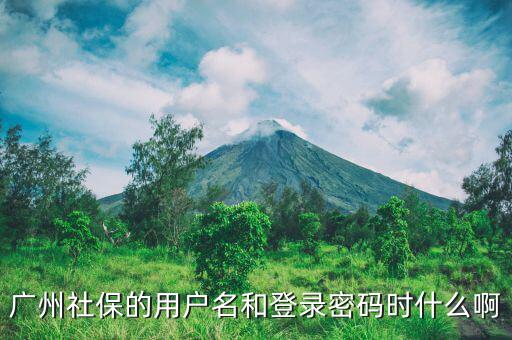 地稅社保用戶名是什么，南京這邊可以國稅扣稅款一個賬號基本戶地稅扣款比如社保